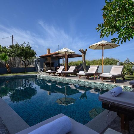 Platanias Villa Spyros Exteriér fotografie